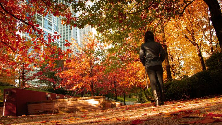 Chicago en octubre| Go City®